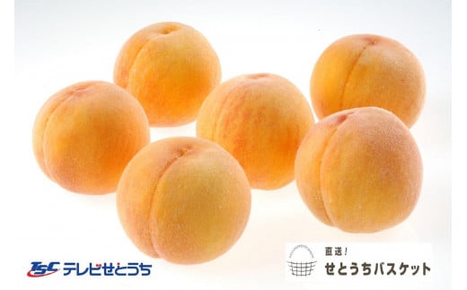 GK21　【2025年発送】黄金桃（ご家庭用）約1.9kg（6～9玉入り）【黄金桃 桃 もも モモ 家庭用 フルーツ 人気フルーツ 果物 人気 果物 岡山県 倉敷市 おすすめ 人気】 1895665 - 岡山県倉敷市