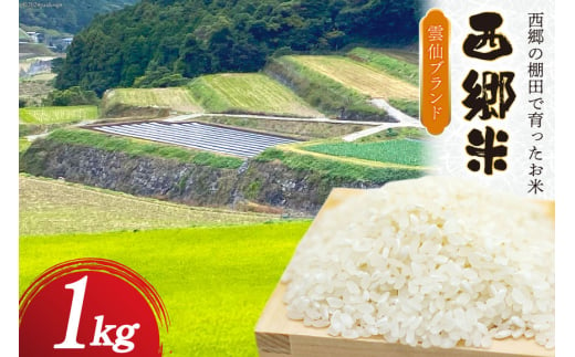 米 令和6年 西郷米 1kg 1袋 白米 [雲仙みずほの郷 長崎県 雲仙市 item2025] 令和6年産 お米 おこめ 精米