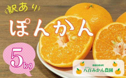 先行予約 訳あり ポンカン 5kg 7000円 ぽんかん みかん mikan 蜜柑 わけあり ミカン 家庭用 産地直送 国産 農家直送 防腐剤不使用 糖度 期間限定 数量限定 特産品 ゼリー ジュース アイス 人気 限定 甘い 果実 果肉 フルーツ 果物 柑橘 先行 事前 予約 受付 ビタミン 健康 美味しい おいしい ジューシー さわやか サイズ ミックス 八百みかん農園 愛南町 愛媛県