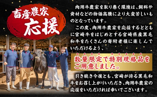 宮崎県宮崎市のふるさと納税 【2025年4月発送】【市制100周年特別規格・期間限定】宮崎牛ロースステーキ250g×2 合計500g+合挽きハンバーグ100g×2個_M132-014-B-apr