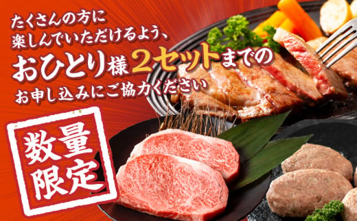 宮崎県宮崎市のふるさと納税 【2025年4月発送】【市制100周年特別規格・期間限定】宮崎牛ロースステーキ250g×2 合計500g+合挽きハンバーグ100g×2個_M132-014-B-apr