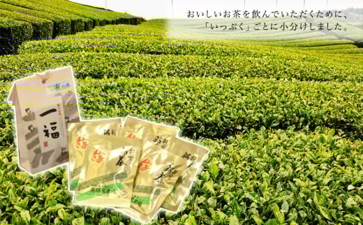 霧の森ようかん（煎茶・ほうじ茶）