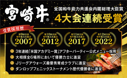 宮崎県宮崎市のふるさと納税 【2025年4月発送】【市制100周年特別規格・期間限定】宮崎牛ロースステーキ250g×2 合計500g+合挽きハンバーグ100g×2個_M132-014-B-apr