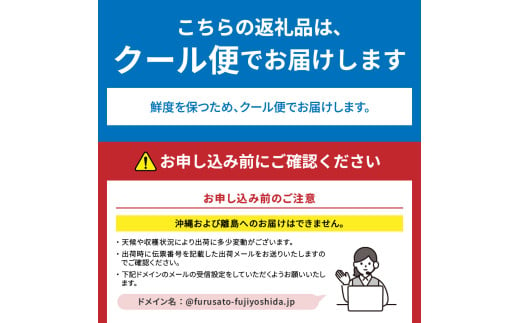 山梨県富士吉田市のふるさと納税 【2025年先行予約】ジューシーで甘さ抜群 シャインマスカットと黒ぶどうセット(約1kg) シャインマスカット 黒ぶどう ぶどう 果物 フルーツ 旬 高級 2025年 先行予約 山梨 富士吉田