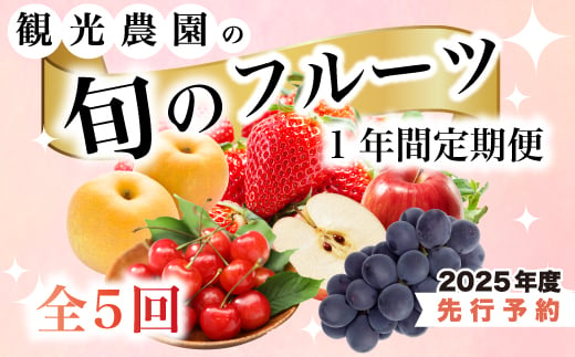 【定期便1年間】豪華フルーツお得パック いちご450g, さくらんぼ500g, 梨2kg, ぶどう2kg, りんご2kg 　詰め合わせ 定期便 1年間 採れたて 新鮮 産地直送 広島県三原市 059021