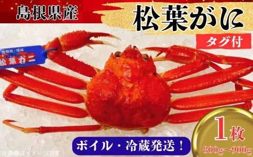 松葉ガニ800g～900g（1枚入り）【タグ付き ブランド ズワイガニ ボイル 姿 1匹 冷蔵 島根県 国産 おすすめ 美味しい 高級】