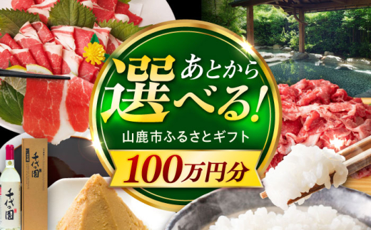 【あとから選べる】山鹿市ふるさとギフト　100万円分 米 牛肉　豚肉 馬刺し くまもと黒毛和牛 定期便 山鹿 [ZEC032]