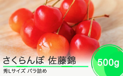  先行予約 さくらんぼ 佐藤錦 秀Lサイズ バラ詰め 500g 2025年産 令和7年産 山形県産 果物 フルーツ くだもの ns-snslb500 1805644 - 山形県大石田町