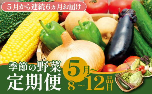 【5月開始】 野菜定期便 年6回 8～12種類 数量限定 野菜 定期便 セット 詰め合わせ 旬 おまかせ 野菜BOX 詰め合わせ 野菜定期便 ふるさと納税野菜 やさい ていばん セット 産地直送  せいだ 新潟 新発田 seida013