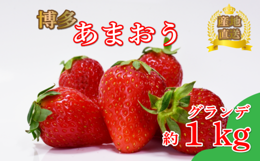 あまおう グランデ等級　約270ｇ×4パック（2月～4月に順次発送予定）冷蔵 小分け いちご 福岡県産 苺 あまおうイチゴ フルーツ あまおう 果物 スイーツ くだもの 冬 春 旬 福岡 九州 福岡県 川崎町 数量限定 期間限定 2017982 - 福岡県川崎町