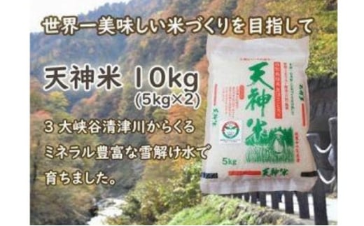 令和6年度　新潟魚沼産コシヒカリ 天神米 5kg×2袋 1915452 - 新潟県十日町市