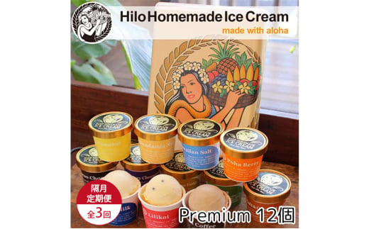 【定期便 3回 隔月】 Hilo Homemade Ice Cream プレミアムアイスクリーム 12個 ヒロホームメイドアイス 手づくり 鵠沼海岸 1913221 - 神奈川県藤沢市