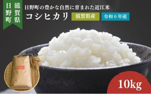 【令和6年産】 コシヒカリ 白米10kg