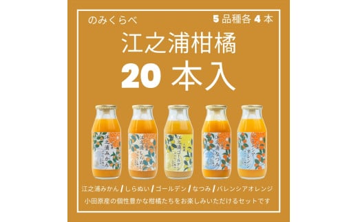 小田原産江之浦みかんジュース５種のみくらべ2０本セット うんしゅう・しらぬい・ゴールデン・なつみ・バレンシアオレンジ１００％ストレートジュース１８０ml各４本合計２０本 2000199 - 神奈川県小田原市