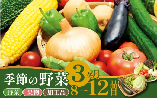 野菜 定期便 3回 8～12種類 旬 おまかせ 野菜BOX 詰め合わせ 野菜定期便 ふるさと納税野菜 やさい ていばん 詰め合わせ セット 産地直送 新鮮 新潟 新発田 seida009