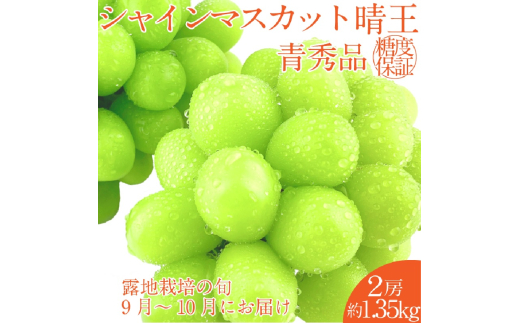 【2025年 予約受付中】 シャインマスカット 晴王 2房 約1.35kg 9月～10月出荷/ 岡山県産 種無し 皮ごと食べる みずみずしい  フレッシュ 晴れの国 おかやま 果物大国 彩美菜果 [№5735-2117]