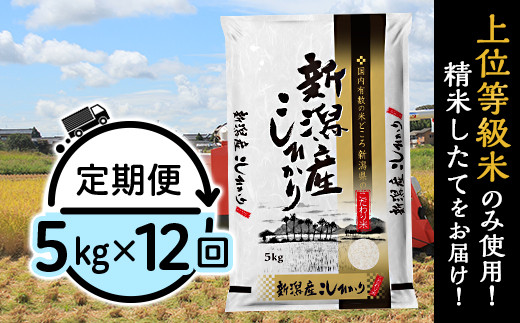 31-K5Z[12ヶ月連続お届け]新潟県産コシヒカリ5kg