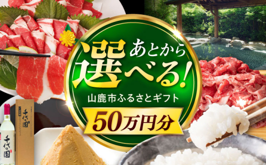 【あとから選べる】山鹿市ふるさとギフト　50万円分 米 牛肉　豚肉 馬刺し くまもと黒毛和牛 定期便 山鹿 [ZEC031]