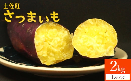 【土佐紅】さつまいも Lサイズ 2kg - サツマイモ さつま芋 野菜 焼き芋 やきいも 焼いも 蒸し芋 おやつ スイーツ スイートポテト 国産 アスタ農園 さつまいも at-0004 1905393 - 高知県香南市