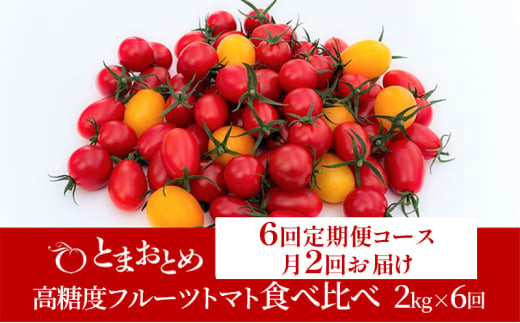 【 定期便 月2回 計6回 】 栃木県 鹿沼産 高糖度 フルーツトマト ”とまおとめ” 食べ比べ 2kg×6回 お届け：1月中旬～5月下旬 野菜 トマト カキヌマファーム とまおとめ アイコ フルティカ アルル イエローアイコ 濃厚 甘み 旨み 入手困難 鹿沼市 [№5840-2791]