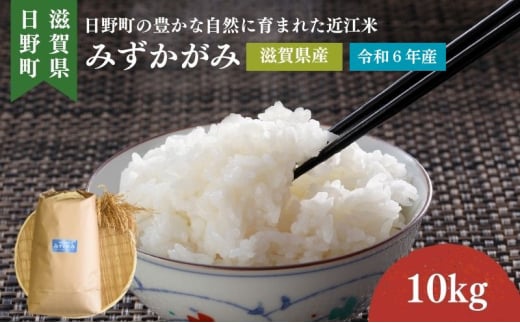 【令和6年産】 みずかがみ 白米10kg