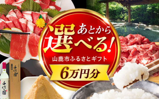 【あとから選べる】山鹿市ふるさとギフト 6万円分 米 牛肉　豚肉 馬刺し くまもと黒毛和牛 定期便 山鹿 [ZEC026]