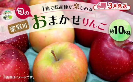 りんご 【 3月発送 】 家庭用 旬のりんご 品種おまかせ 約 10kg 2種類～4種類