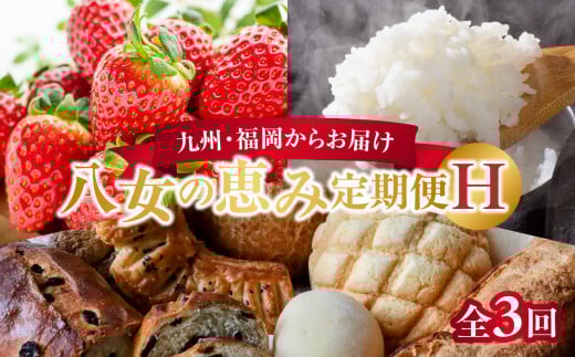 九州・福岡からお届け！八女の恵み定期便【全3回】H 504668 - 福岡県八女市