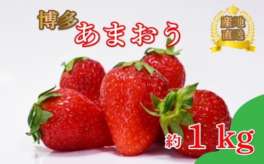 あまおう約270ｇ×4パック（１月～4月に順次発送予定）冷蔵 小分け いちご 福岡県産 苺 あまおうイチゴ フルーツ あまおう 果物 スイーツ くだもの 冬 春 旬 福岡 九州 福岡県 川崎町 数量限定 期間限定 1907163 - 福岡県川崎町