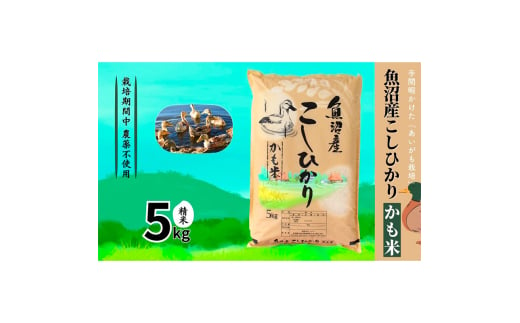 【令和6年産】魚沼産コシヒカリかも米(精米)5kg　※栽培期間中農薬不使用 米 お米 こしひかり 精米 かも米 中魚沼 新潟県 十日町市 1915453 - 新潟県十日町市