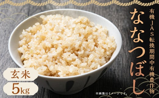 [令和6年産]有機JAS転換期間中有機農作物 らんこし産 玄米 ななつぼし 5kg お米 米