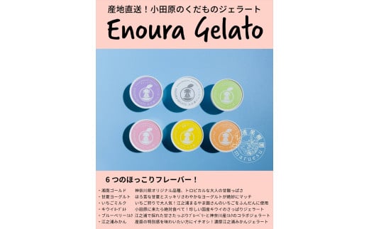 定期便６回 小田原産江之浦ジェラート６種（みかん、湘南ゴールド、ブルーベリーミルク、いちごミルク、キウイヨーグルト、甘夏ヨーグルト）120mlカップ各１個合計６個 2000179 - 神奈川県小田原市