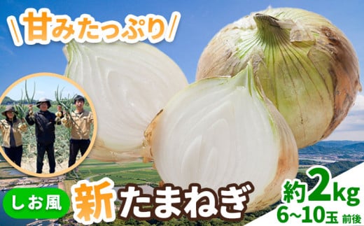 新玉ねぎ【2025年先行予約】 しお風新たまねぎ 約2kg 《5月中旬-5月末頃出荷》 玉ねぎ 新たまねぎ 玉葱 たまねぎ 新玉 野菜 青果物 岡山県 笠岡市 5000円以下 5000円以内 10000円以下 10000円以内