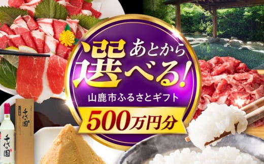 【あとから選べる】山鹿市ふるさとギフト　500万円分 米 牛肉　豚肉 馬刺し くまもと黒毛和牛 定期便 山鹿 [ZEC037]
