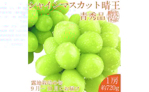 【2025年 予約受付中】 シャインマスカット 晴王 1房約720g 9月～10月出荷/ 岡山県産 種無し 皮ごと食べる みずみずしい フレッシュ 晴れの国 おかやま　 果物大国 彩美菜果 [№5735-2115]
