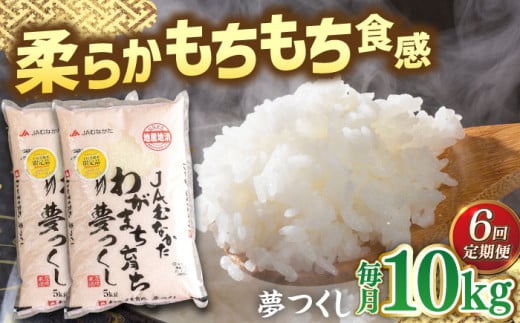 【全6回定期便】福岡産ブランド米・夢つくし5kg×2袋 桂川町/南国フルーツ株式会社 [ADBW040]