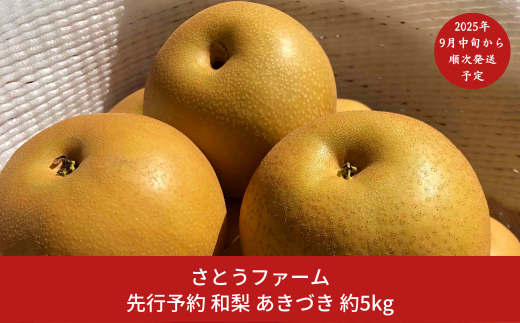 先行予約 和梨 あきづき 5kg [9月中旬から発送予定] 令和7年度 新潟県産 梨 [さとうファーム] 【014S011】 868408 - 新潟県三条市