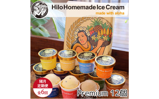 【定期便 6回 隔月】 Hilo Homemade Ice Cream プレミアムアイスクリーム 12個 ヒロホームメイドアイス 手づくり 鵠沼海岸 1913222 - 神奈川県藤沢市