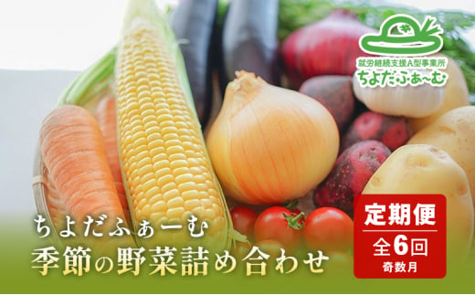 【全6回 奇数月にお届け！】 季節の野菜 詰め合わせ 定期便 「ノウフク・プロジェクト」 【就労支援】