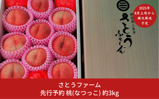 先行予約 桃 (なつっこ) 3kg [8月上旬から発送予定] 令和7年度 新潟県産 桃 [さとうファーム]【014S009】 868406 - 新潟県三条市