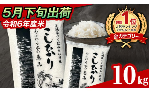 【 5月下旬発送 / 数量限定 】新米 茨城県産 コシヒカリ 精米 10kg (5kg×2袋） 令和6年産 こしひかり 米 コメ こめ 単一米 限定 茨城県産 国産 美味しい お米 おこめ おコメ