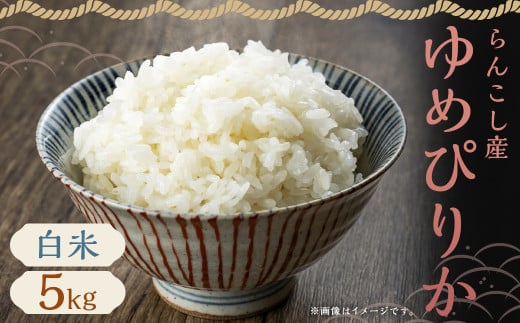 [令和6年産]らんこし産 ゆめぴりか 5kg お米 米 精米