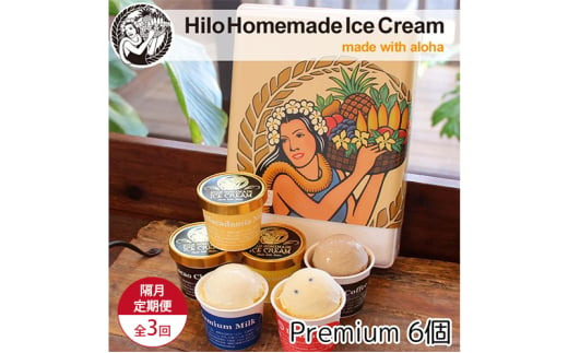 【定期便 3回 隔月】 Hilo Homemade Ice Cream プレミアムアイスクリーム 6個 ヒロホームメイドアイス 手づくり 鵠沼海岸 1913219 - 神奈川県藤沢市