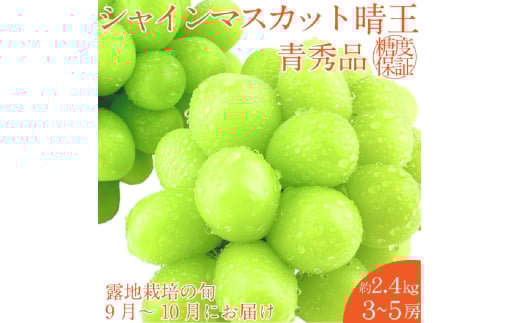 【2025年 予約受付中】 シャインマスカット 晴王 約2.4kg(3～5房) 9月～10月出荷/ 岡山県産 種無し 皮ごと食べる みずみずしい フレッシュ 晴れの国 おかやま 果物大国 彩美菜果 [№5735-2118]