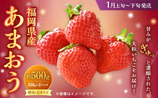 福岡県産 あまおう 500g（250g×2パック）いちご 苺 イチゴ 【2025年1月上旬～1月下旬発送予定】