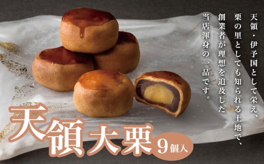 天領大栗 9個入り 229081 - 愛媛県四国中央市