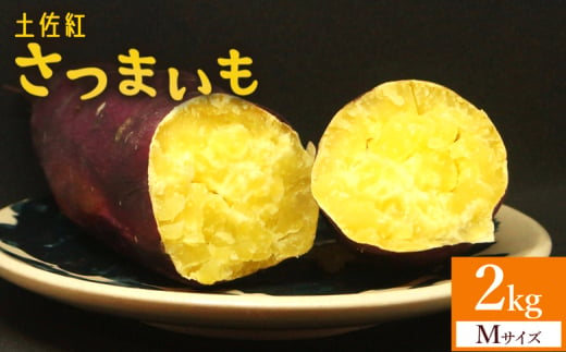 【土佐紅】さつまいも Mサイズ 2kg - サツマイモ さつま芋 野菜 焼き芋 やきいも 焼いも 蒸し芋 おやつ スイーツ スイートポテト 国産 アスタ農園 さつまいも at-0001 1905390 - 高知県香南市