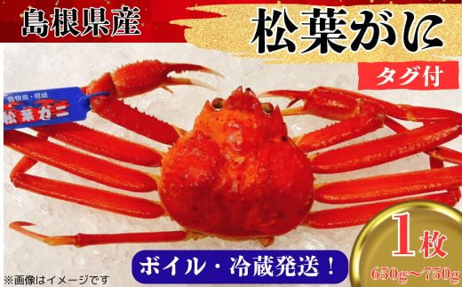 松葉ガニ650g～750g（1枚入り）【タグ付き ブランド ズワイガニ ボイル 姿 1匹 冷蔵 島根県 国産 おすすめ 美味しい 高級】