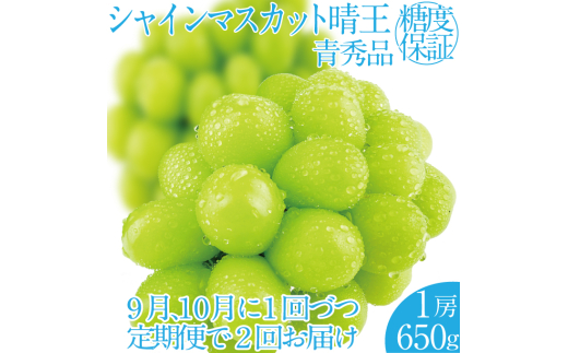 2025年 先行予約受付中[2回定期便]シャインマスカット晴王1房 約650g 岡山県産 種無し 皮ごと食べる みずみずしい 甘い フレッシュ 瀬戸内 晴れの国 おかやま 果物大国 ハレノフルーツ 