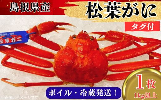 松葉ガニ1kg以上（1枚入り）【タグ付き ブランド ズワイガニ ボイル 姿 1匹 冷蔵 島根県 国産 おすすめ 美味しい 高級】